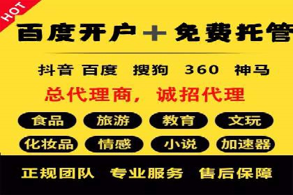 百度竞价代运营实战：某电商平台的销量翻倍秘诀